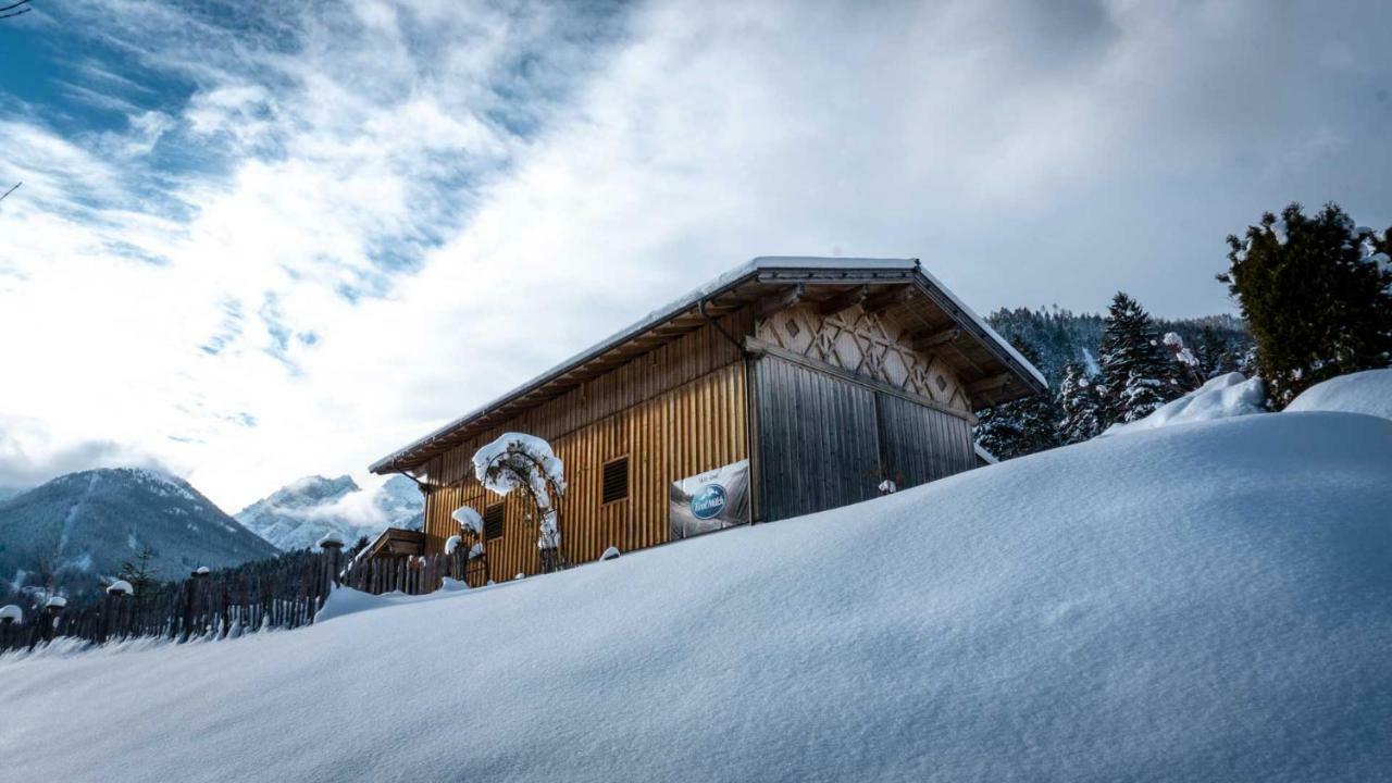 Stubaier Bauern Appartement Telfes im Stubai Exteriör bild