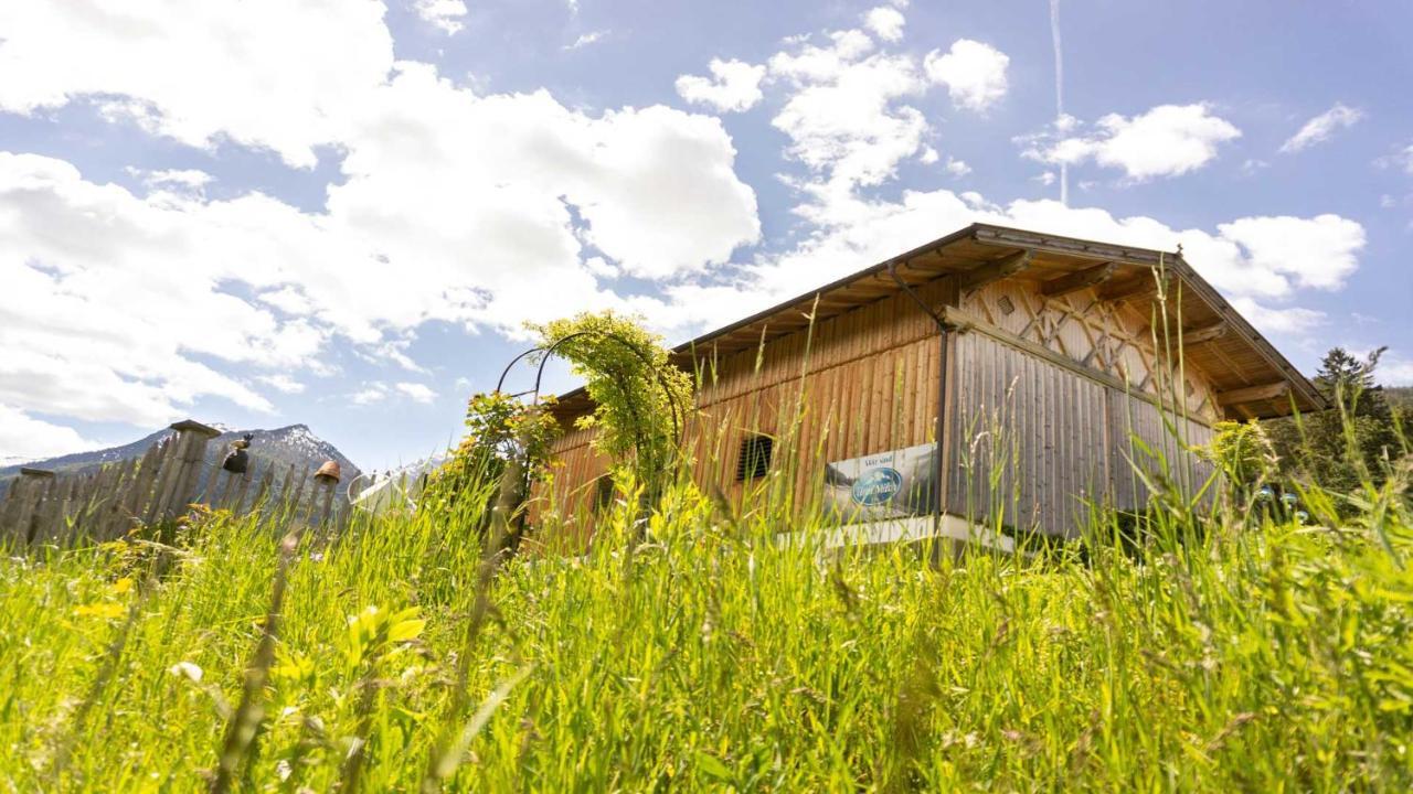 Stubaier Bauern Appartement Telfes im Stubai Exteriör bild